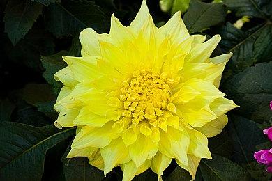 2024年已有40款游戏确认首发登陆Game Pass